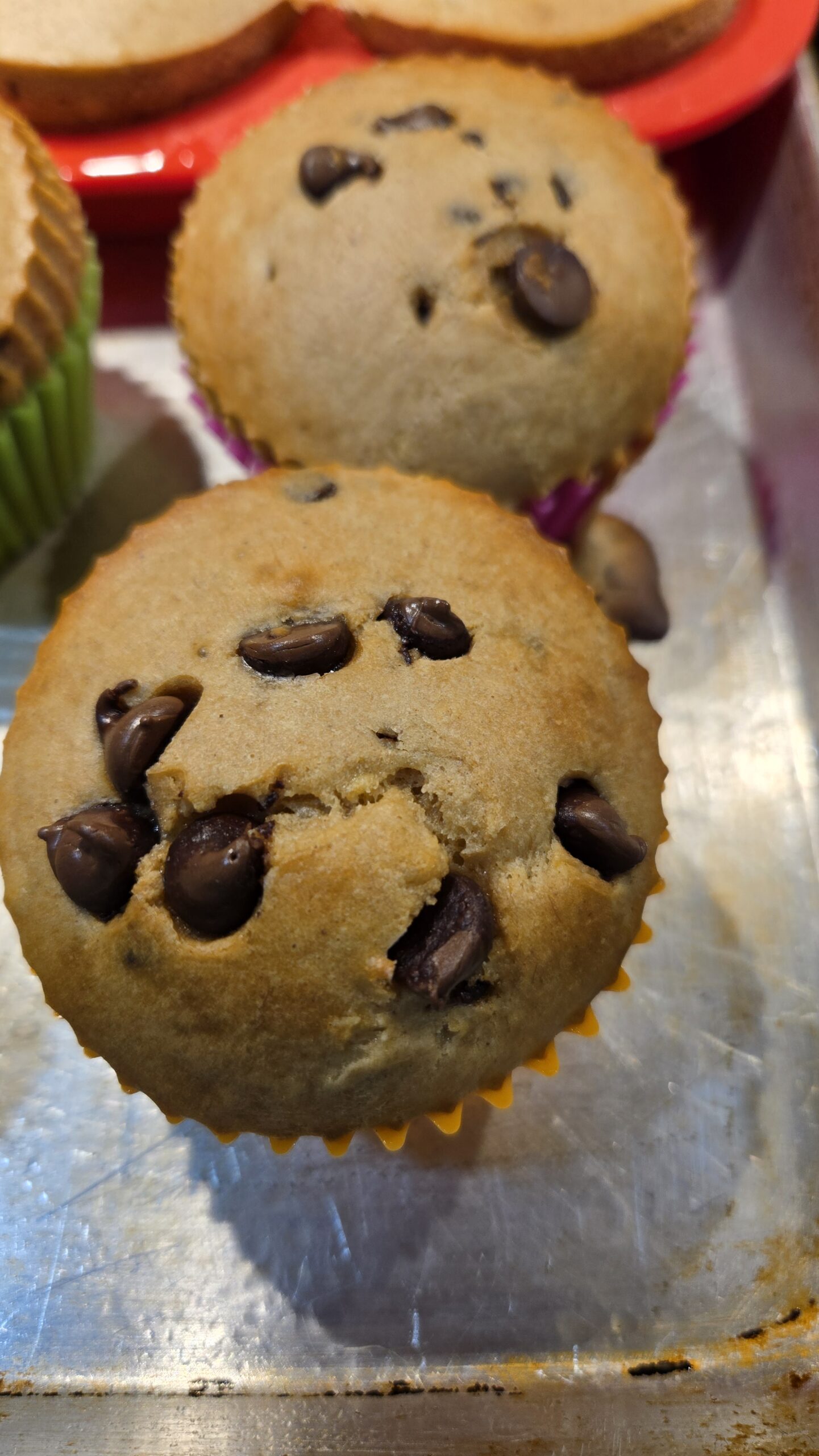 Chocolate Chip Banana Protein Muffins – High-Protein Breakfast or Snack